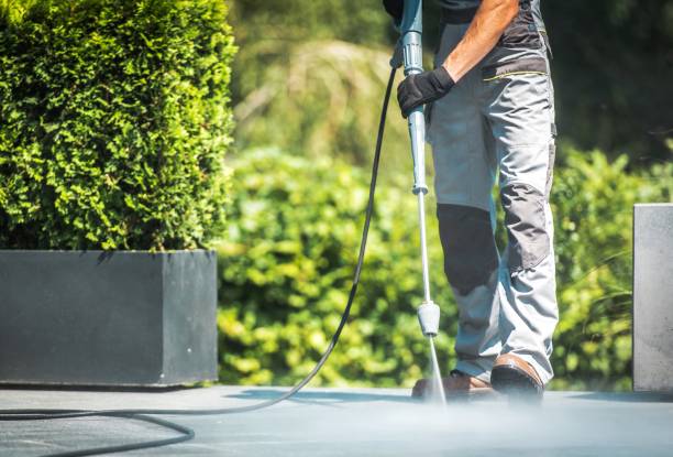 Best Solar Panel Cleaning  in Meadow Oaks, FL