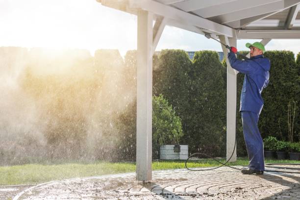 Best Graffiti Removal  in Meadow Oaks, FL