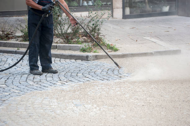 Best Driveway Pressure Washing  in Meadow Oaks, FL