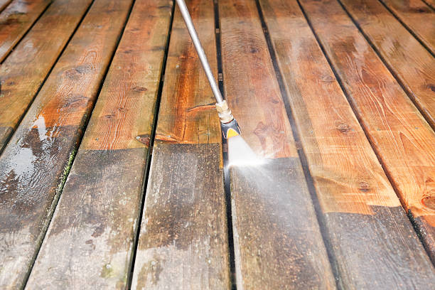 Best Fence Cleaning  in Meadow Oaks, FL